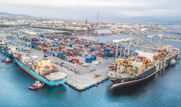 Yüzde 100’lük artış: Türkiye’den deniz salyangozu ihracatı