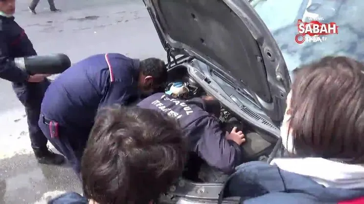Aracının motorunda yavrulayan kedi için seferber oldu | Video