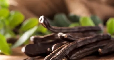 Çekirdeğine kadar faydalı...