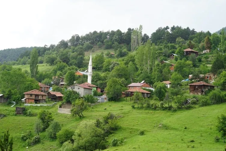 Kastamonu'da film gibi olay! Camiden anons yaptırıp köylüleri kandırdılar...