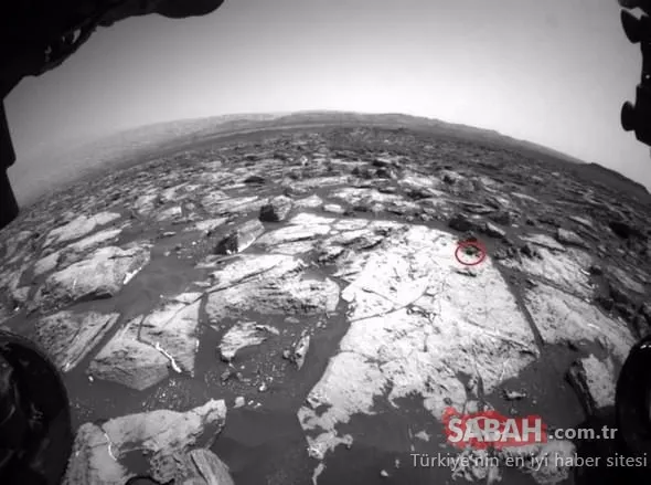 Mars'tan gelen fotoğraflar kan dondurdu! Dünyayı şaşkına çevirdi!