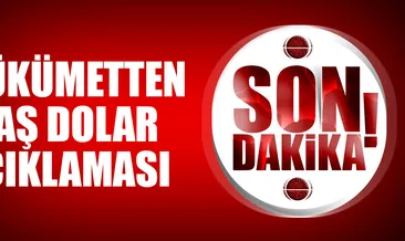 Hükümetten flaş dolar açıklaması