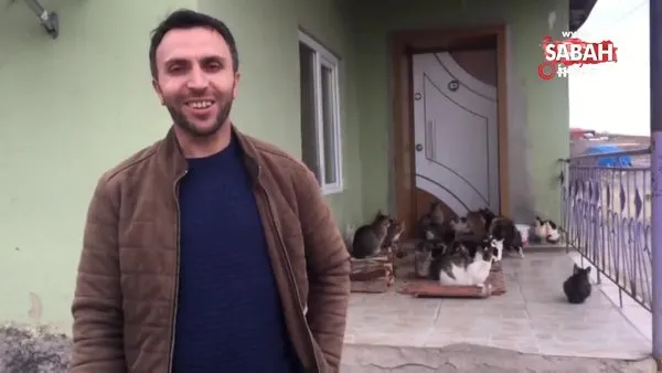 Konya'da yaklaşık 30 kedi besleyen imam: 