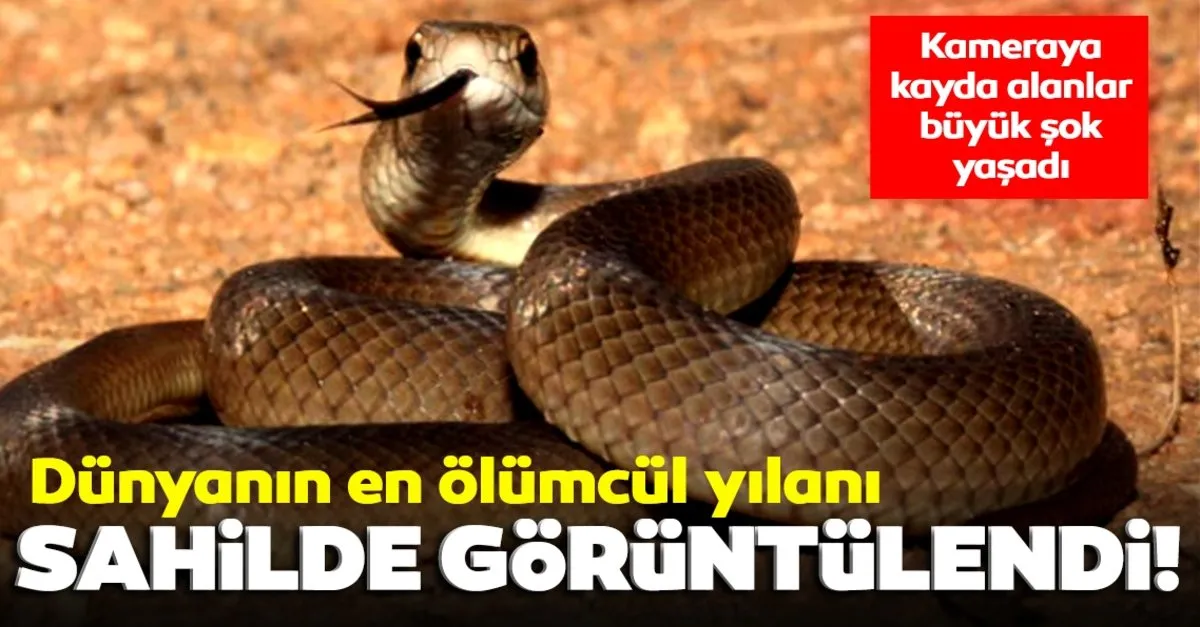 korkunc son dakika haberi dunyanin en