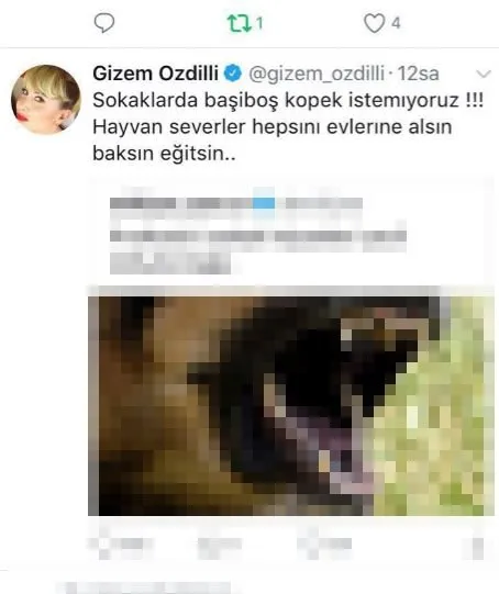 Gizem Özdilli ile oyuncu Tuna Arman’ın olaylı köpek tartışması!