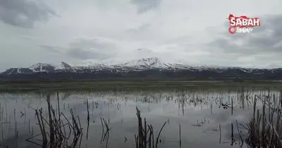 Sarısu Ovası’nın karlı Süphan Dağı’yla kartpostallık görüntüler oluşturdu | Video
