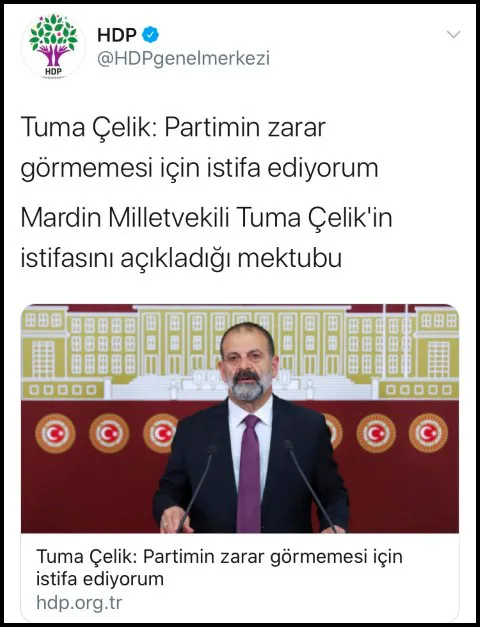 HDP'li Tuma Çelik'in cinsel saldırı suçuna