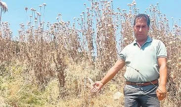 Su akar İZSU bakar #izmir