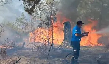 KKTC’de orman yangını