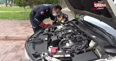 Antalya’da otomobilin motoruna giren yavru kediyi itfaiye kurtardı | Video