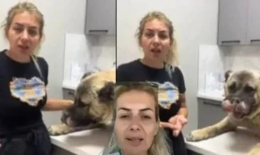 Hastalıklı köpekleri Ankara’ya getirmişti! Buket Özgünlü davasında savunma için ek süre verildi #ankara
