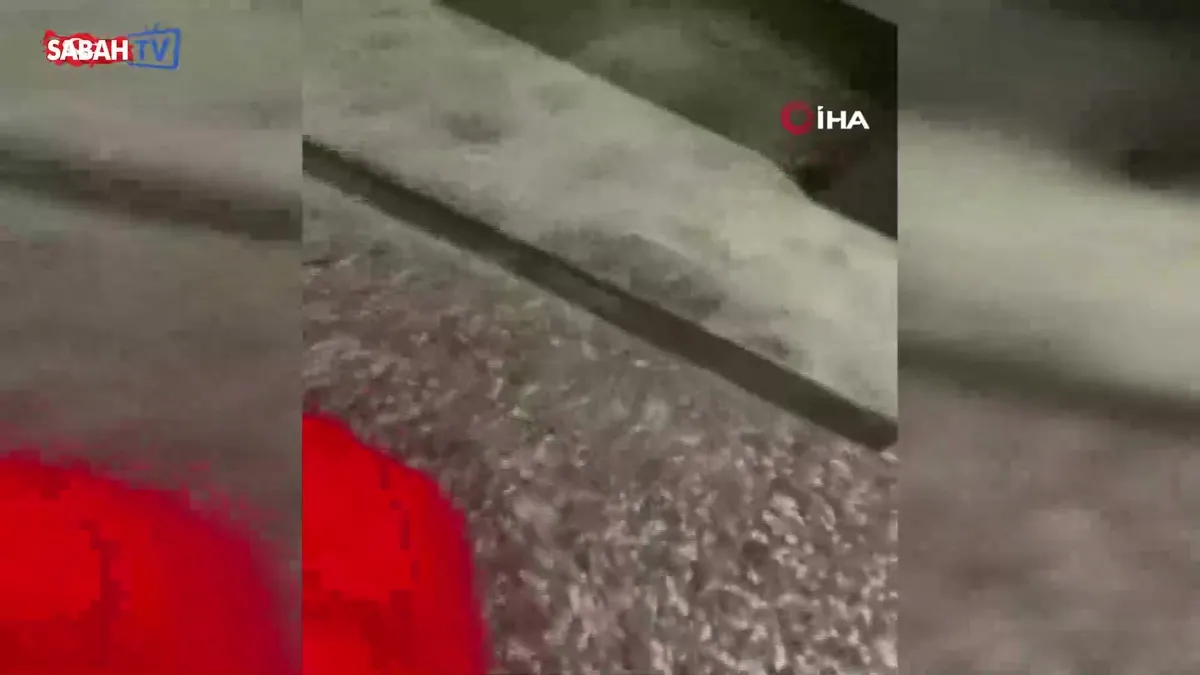 Bursa'da mağaza kundaklama soruşturmasında 3 tutuklama | Video Bursa'da mağaza kundaklama soruşturmasında 3 tutuklama | Video