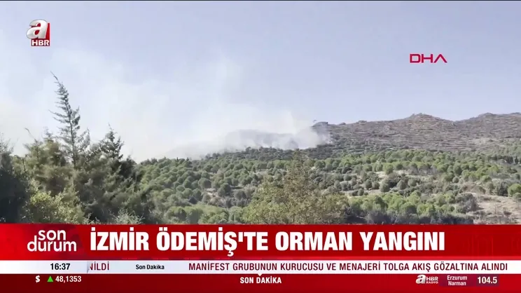 İzmir Ödemiş'te orman yangını! | Video