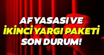 Son Dakika Haber Genel Af Yasasi Ve Ikinci Yargi Paketi Son Durum Af Yasasi Infaz Duzenlemesi Ve Ikinci Yargi Paketi Ne Zaman Cikacak Son Dakika Yasam Haberleri
