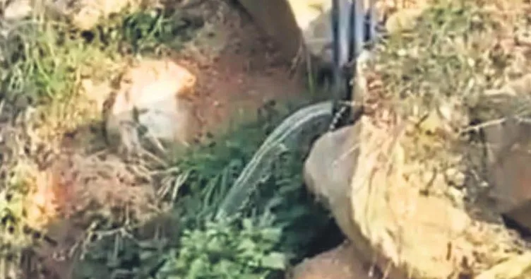 Bilecik’te kanalizasyon skandalı