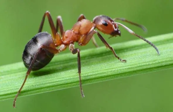 Yanlış bilinen doğrular: Bu hataya düşmeyin!