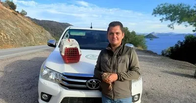 Kınalı keklik satışına 28 bin TL ceza #mugla