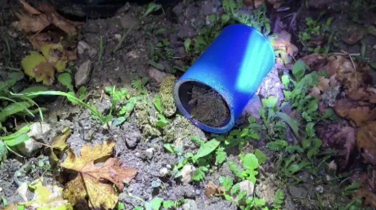 Market rafında şok görüntü: Yiyecek yerine bakın ne çıktı!