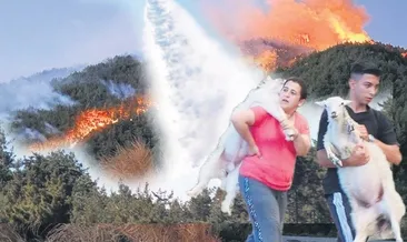 Ciğerlerimız alev alev