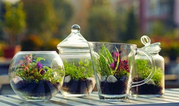 Çocuklar için cam bahçeler