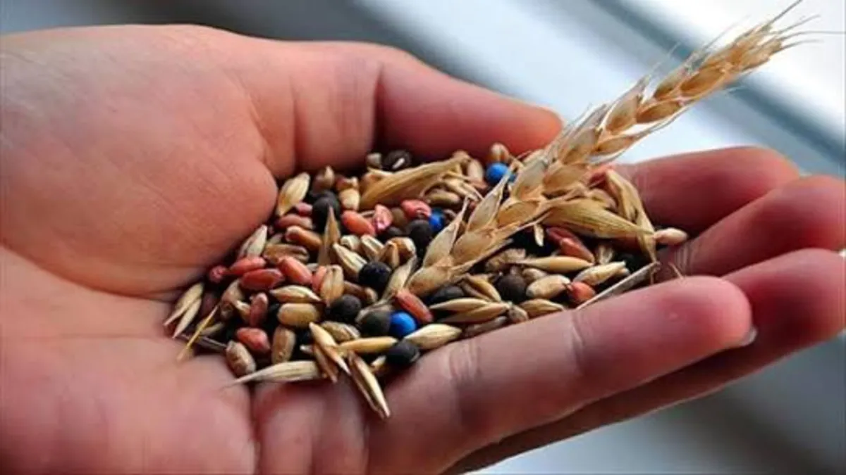 Tarım İşletmeleri Genel Müdürlüğü (TİGEM) tarafından tescillenen yerel tohumlar