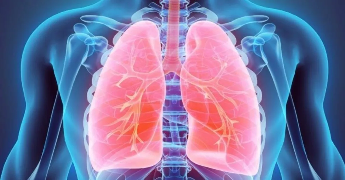 3 gunde akcigerler nasil temizlenir akcigerleri temizleyen besinler nelerdir saglik haberleri 3 gunde akcigerler nasil temizlenir akcigerleri temizleyen besinler nelerdir saglik haberleri