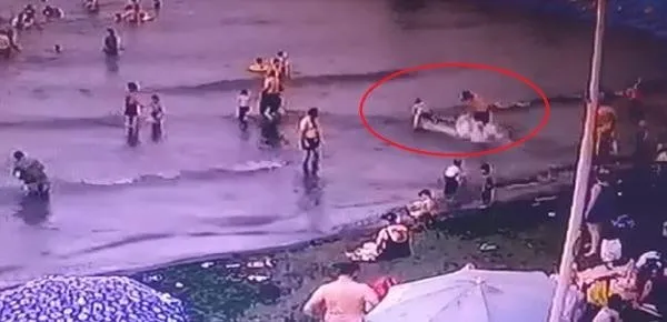 Denizde yüzen çocuğa köpek saldırdı!