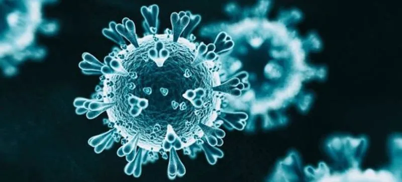 Son dakika haberler: Koronavirüs o organlarda da hasar oluşturuyor! ‘Hafif atlatanlarda bile görülüyor’