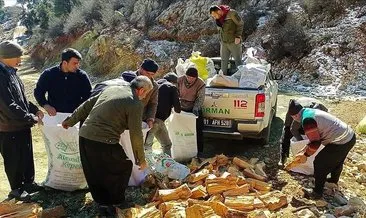 Tarım ve Orman Bakanlığı deprem bölgesindeki çalışmalarını sürdürüyor
