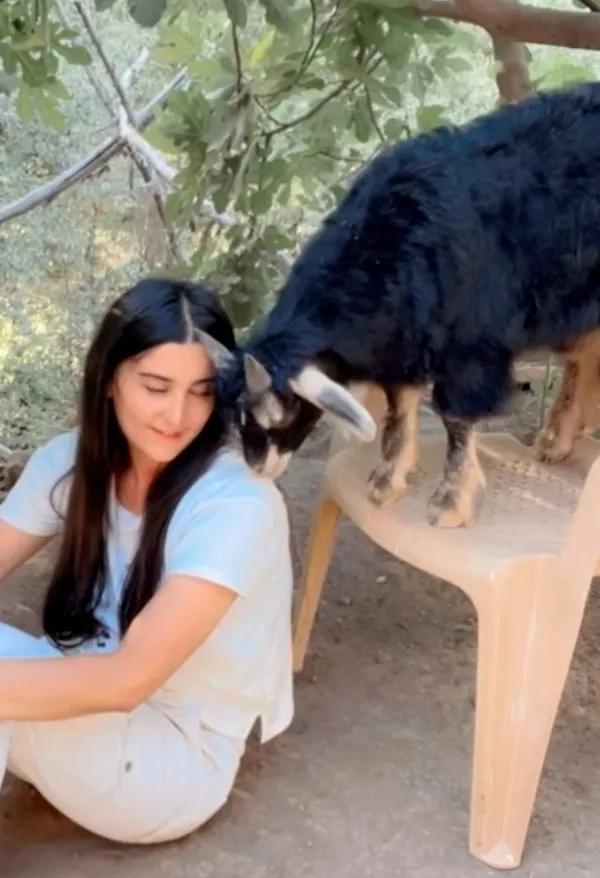 doganin-kizi-cevahirin-hayvan-sevgisi-1691468707527.jpg