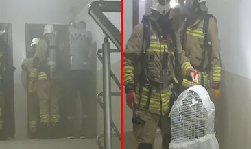 Düzce’deki öğrenci apartında korkutan yangın! Mutfaktaki ocak alev aldı: Bina tahliye edildi!