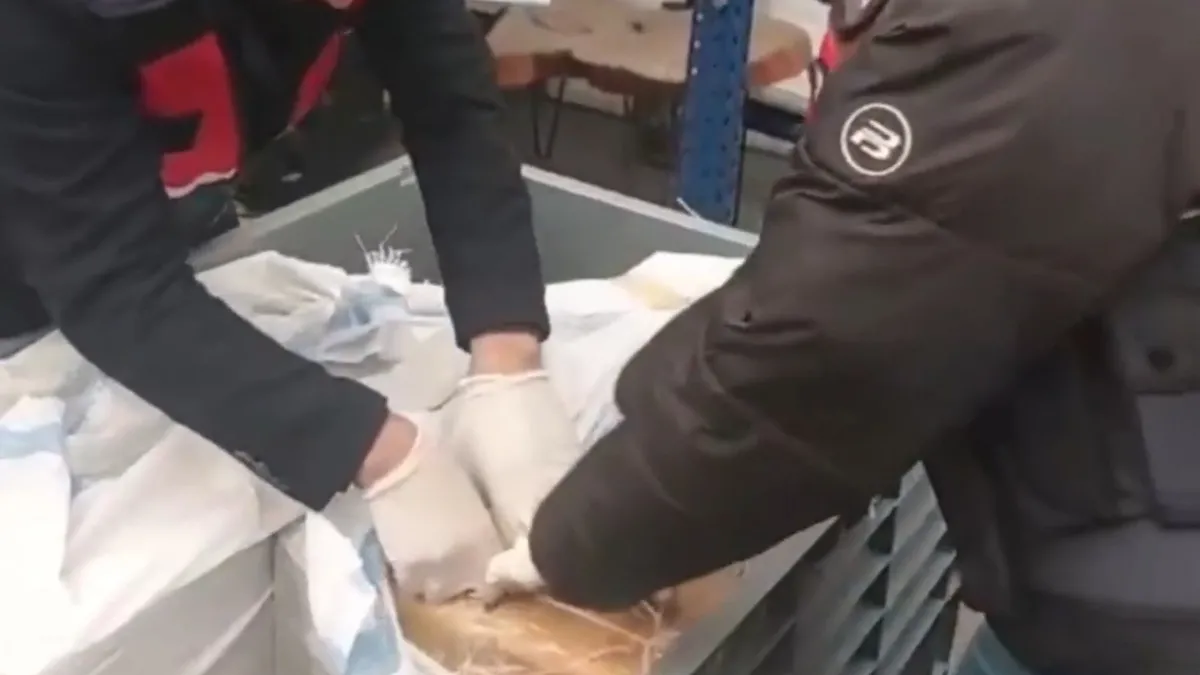 25 ilde uyuşturucu satıcılarına operasyon: 255 şüpheli yakalandı! 25 ilde uyuşturucu satıcılarına operasyon: 255 şüpheli yakalandı!