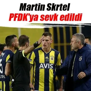 Martin Skrtel PFDK'ya sevk edildi
