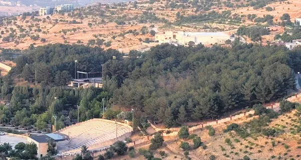 kamyonunu-satip-orman-kurdu-1782669965490.jpeg