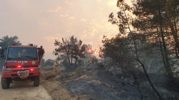 Gelibolu Yarımadası’nda orman yangını çıktı