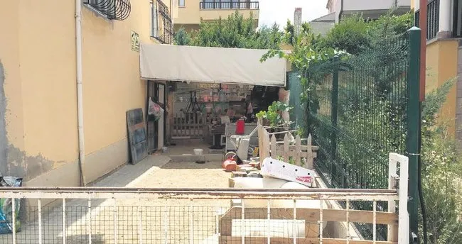 Boyle Hayvan Sevgisi Olmaz Ankara Baskent Haberleri