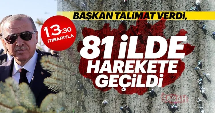 Başkan Erdoğan o projeyi resmen başlattı! 81 ilde milyonlarca fidan toprakla buluşmaya başladı