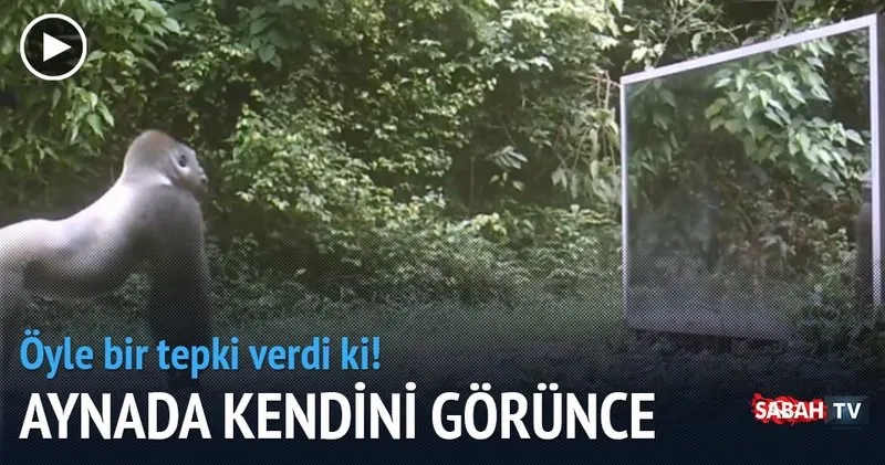 sabah