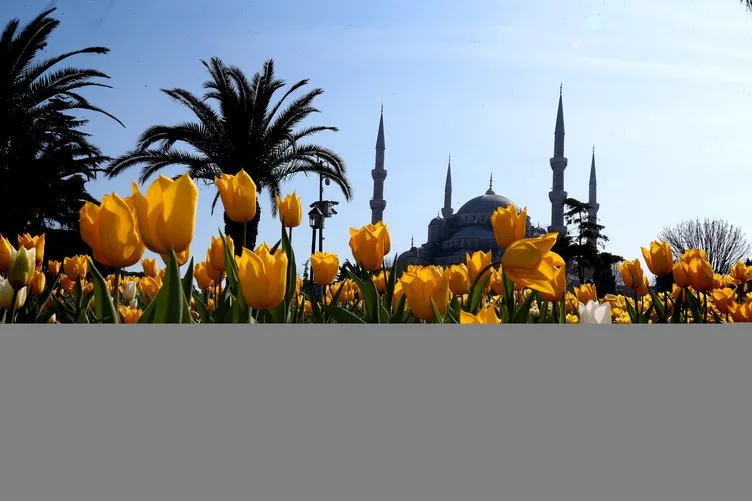 İstanbul yeniden lalelerle buluştu