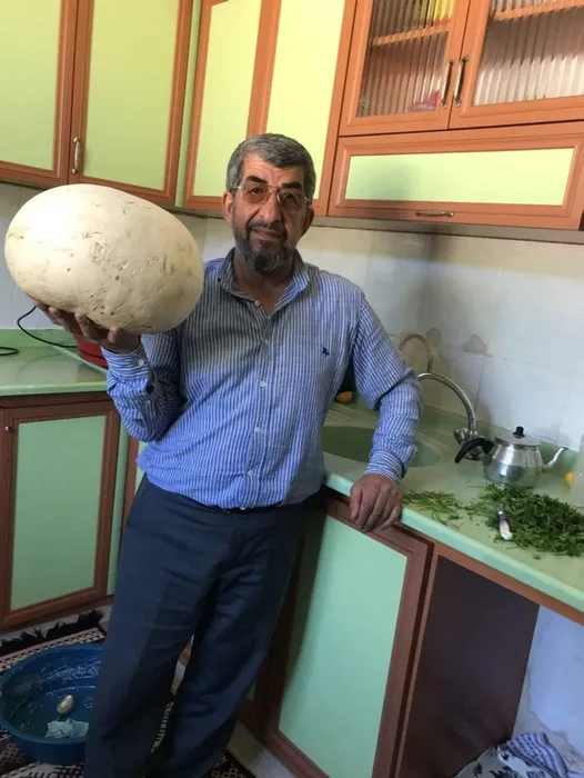 Köyde gezerken buldular: İlk defa böyle bir şey gördük!