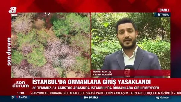 İstanbul Valiliği: 31 Ağustos'a kadar ormana giriş yasaklandı
