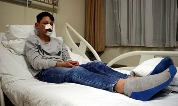 Tokat’ta sokak köpeği dehşeti