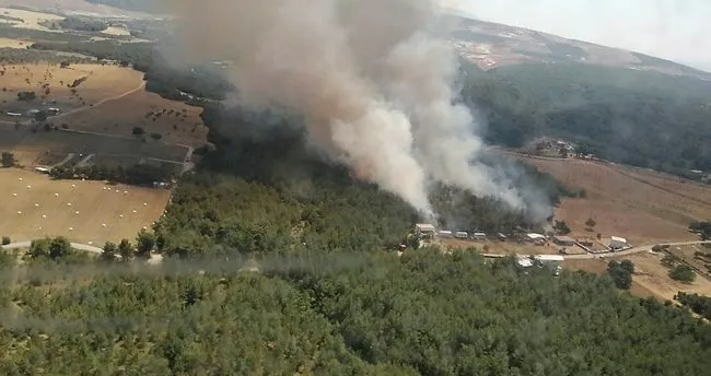 Son Dakika Izmir De Orman Yangini Son Dakika Haberler