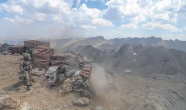 33 hain etkisiz hale getirildi