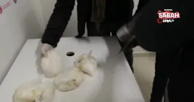 Kapıköy Gümrük Kapısı’nda 7 kilogram metamfetamin ele geçirildi | Video