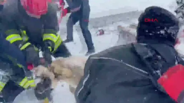 Konya'da 15 metre derinliğindeki kuyuya düşen köpek kurtarıldı