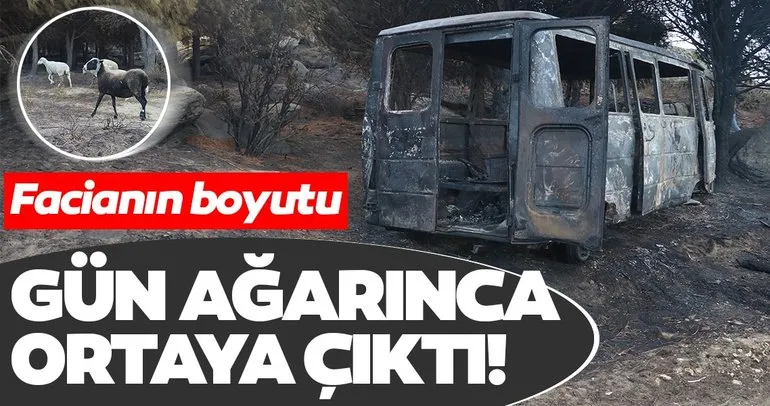 Marmara Adası’ndaki yangının boyutu gün ağarınca ortaya çıktı
