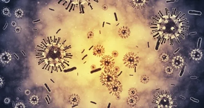 IKBY’de SARS virüsü alarmı