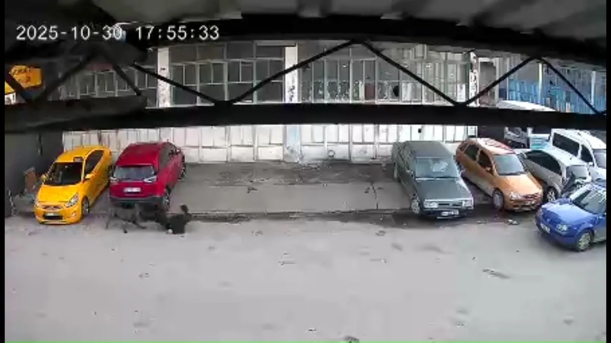 Sakarya’da dehşet anları kamerada: Küçük çocuk köpeğin saldırısına uğradı! Sakarya’da dehşet anları kamerada: Küçük çocuk köpeğin saldırısına uğradı!