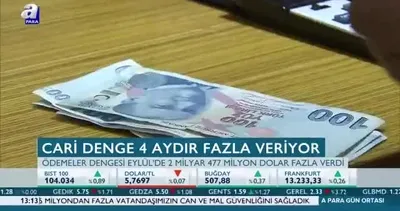 Cari denge 4 aydır fazla veriyor